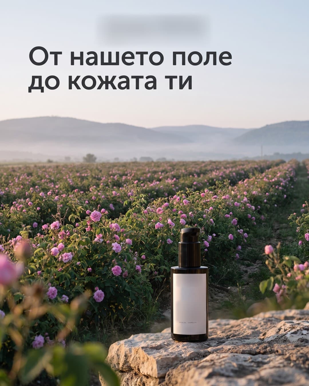 Ad creative, Feed · 4:5: "From our field to your skin"